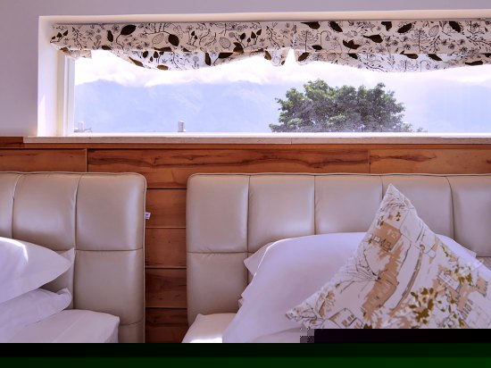 香草天空温馨双床房