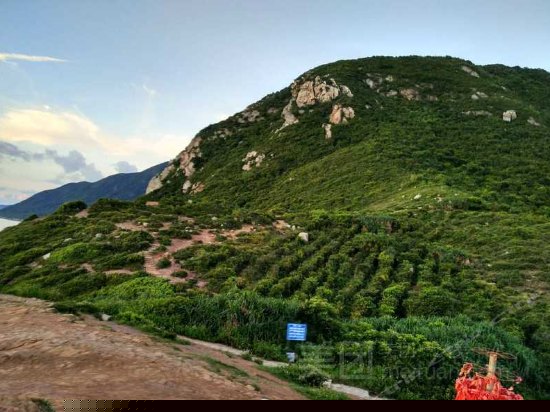 周边图片