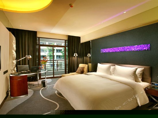 豪华房(山景/庭景)