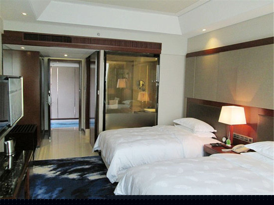 慕尼黑高级双床房