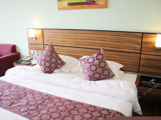 数码商务大床房