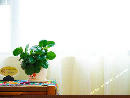 海云天海景大床房