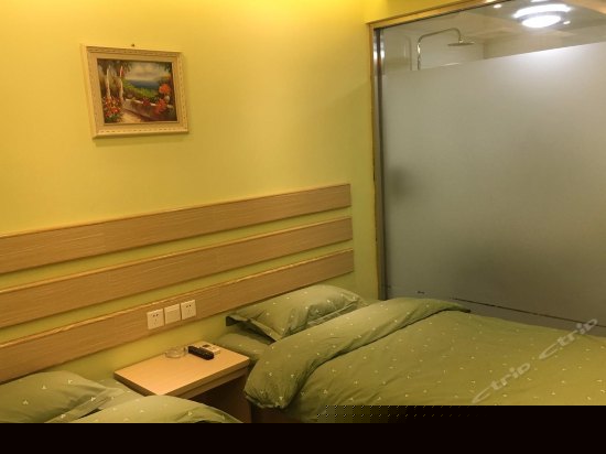 标准双床房（无窗）