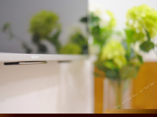 管彤私享露台套房