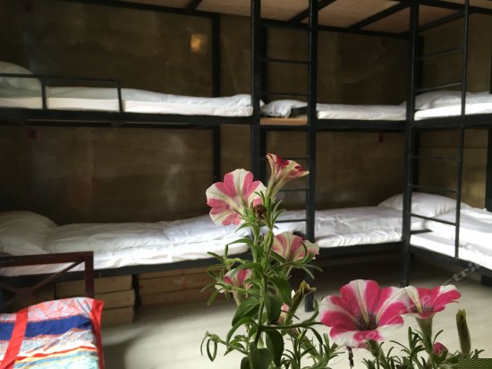 拥挤的乐园（床位房）