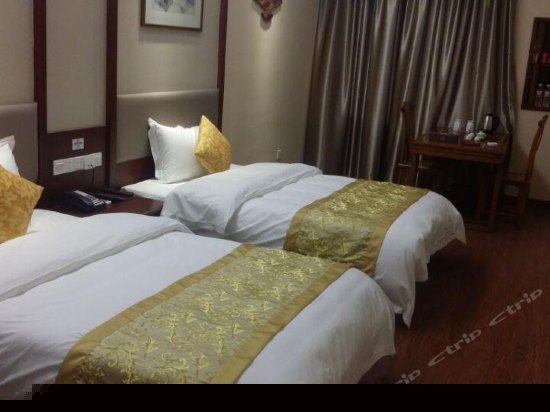 君山银针主题房