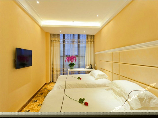 高级双床房