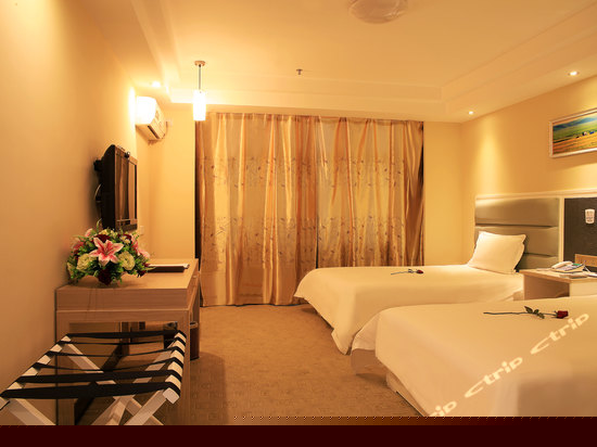 豪华双床房