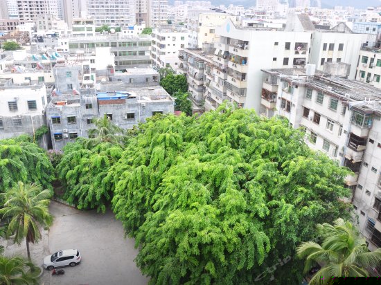 格朗阳台双床间