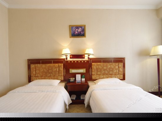 豪华商务单人房