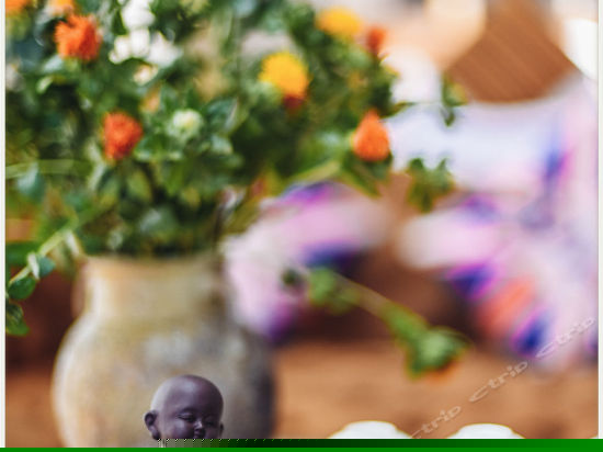 T305海景LOGE星空SPA套房