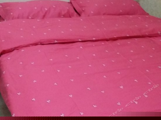 会展中心温馨套房