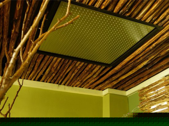 苏醒-雨林海景大床房