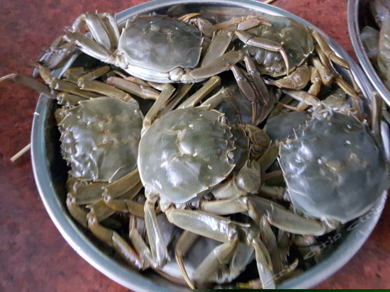 餐厅