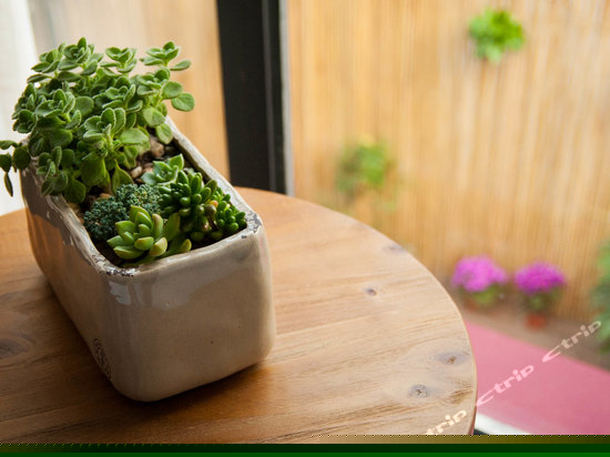 落地飘窗景观房（208）