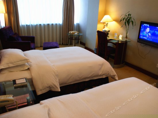 豪华双床房