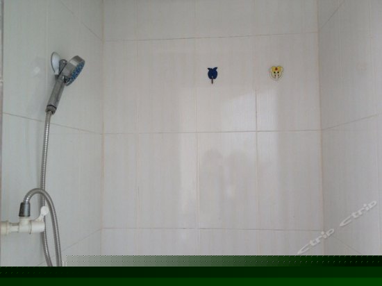 顶楼房（月租）