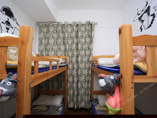 海贼王四人间（床位房）