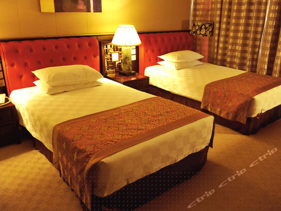 标准双人间