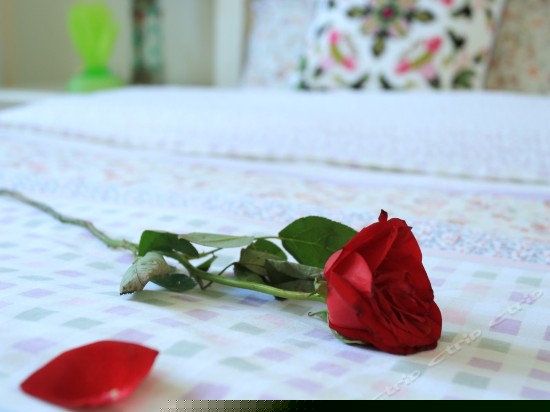 如梦令典雅阳光大床房