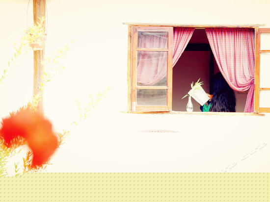 百合（观景情侣古典套房）