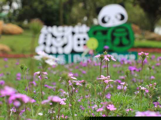 儿童乐园/儿童俱乐部