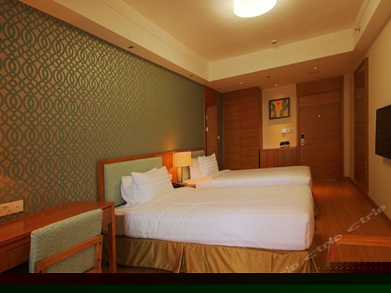 豪华双床房