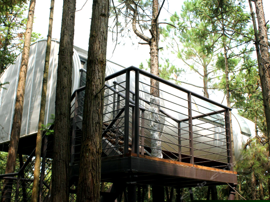 树屋世界神秘屋