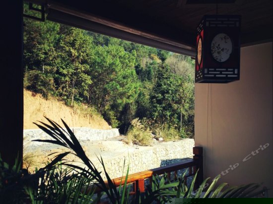 阳光庭院大床房