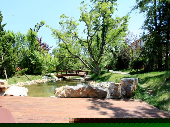 周边图片