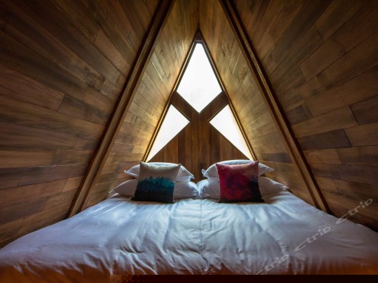 树屋世界伊甸园