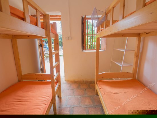 四人上下铺（床位房）