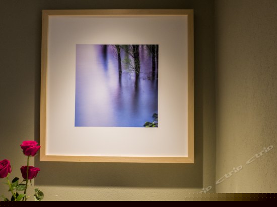 舒适山景大床房