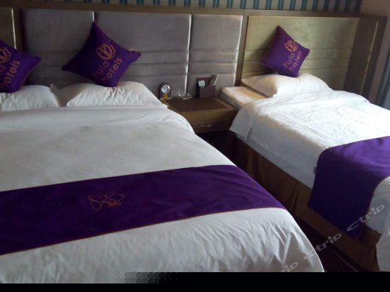 特价家庭房（无窗）