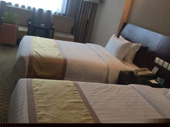 酒店房型