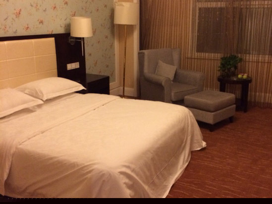 酒店房型