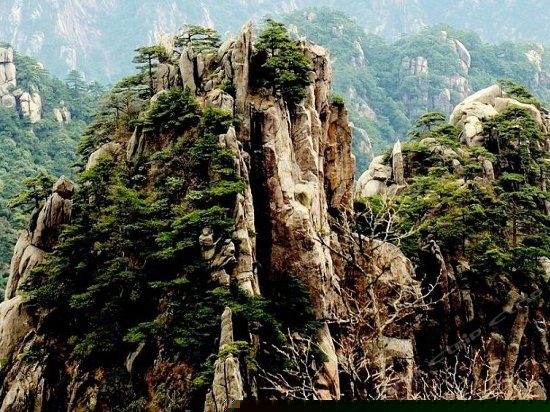 周边图片