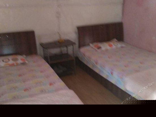 普通空调双床房