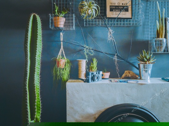 Room02海景跃层双人房