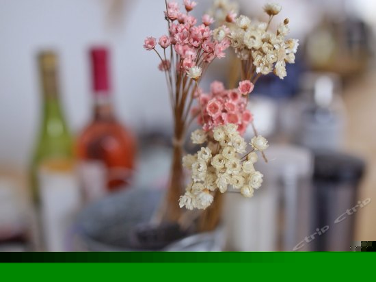 男生四人间（床位）