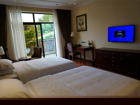 豪华观景阳台标间