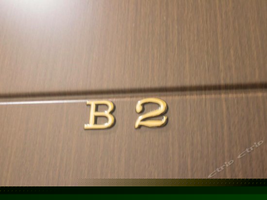 可爱的猫双人房