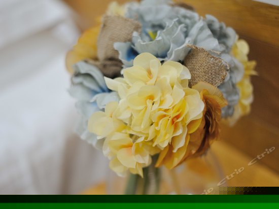 绎心精致临院房