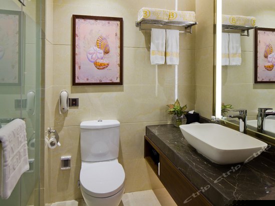 纽伦堡行政大床房