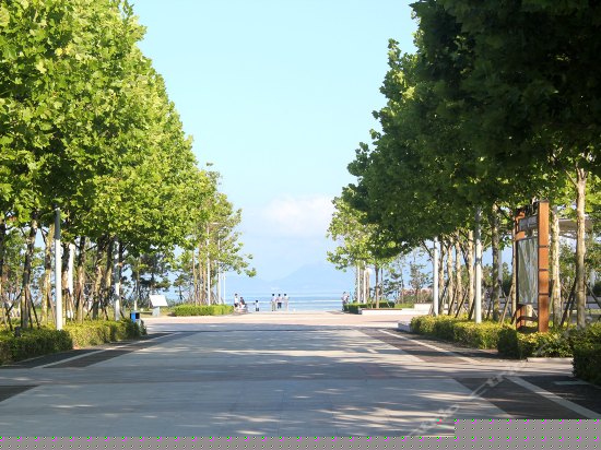 全海景双卧商务套房