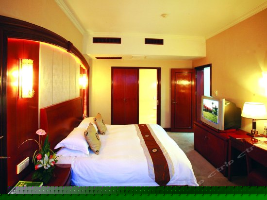 豪华大床房