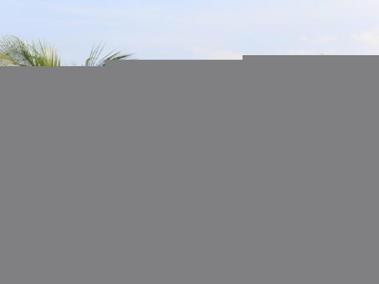 豪华园景大床房