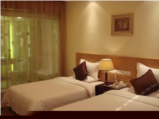 豪华行政双人房