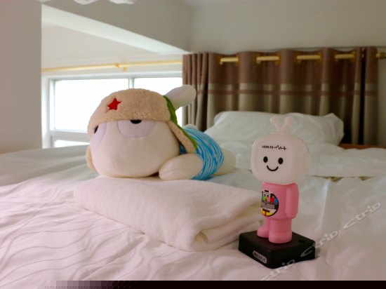 海贼王4人间（公卫）