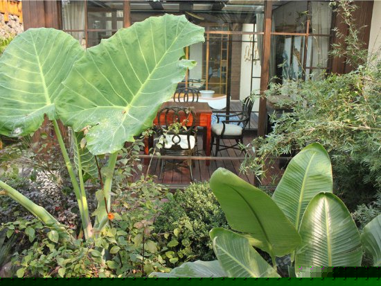 庭院式豪华套房（无窗）